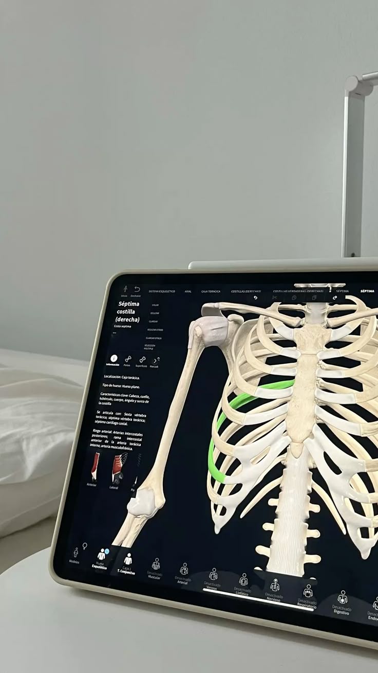 UK Secondary Online App Medical School