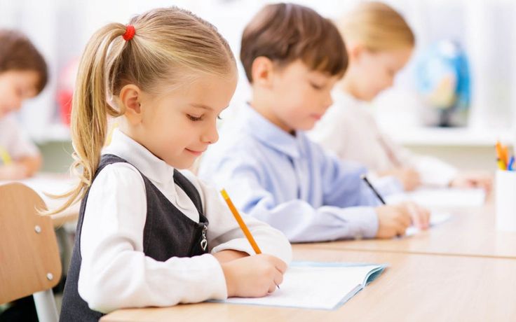 Primary School Grades