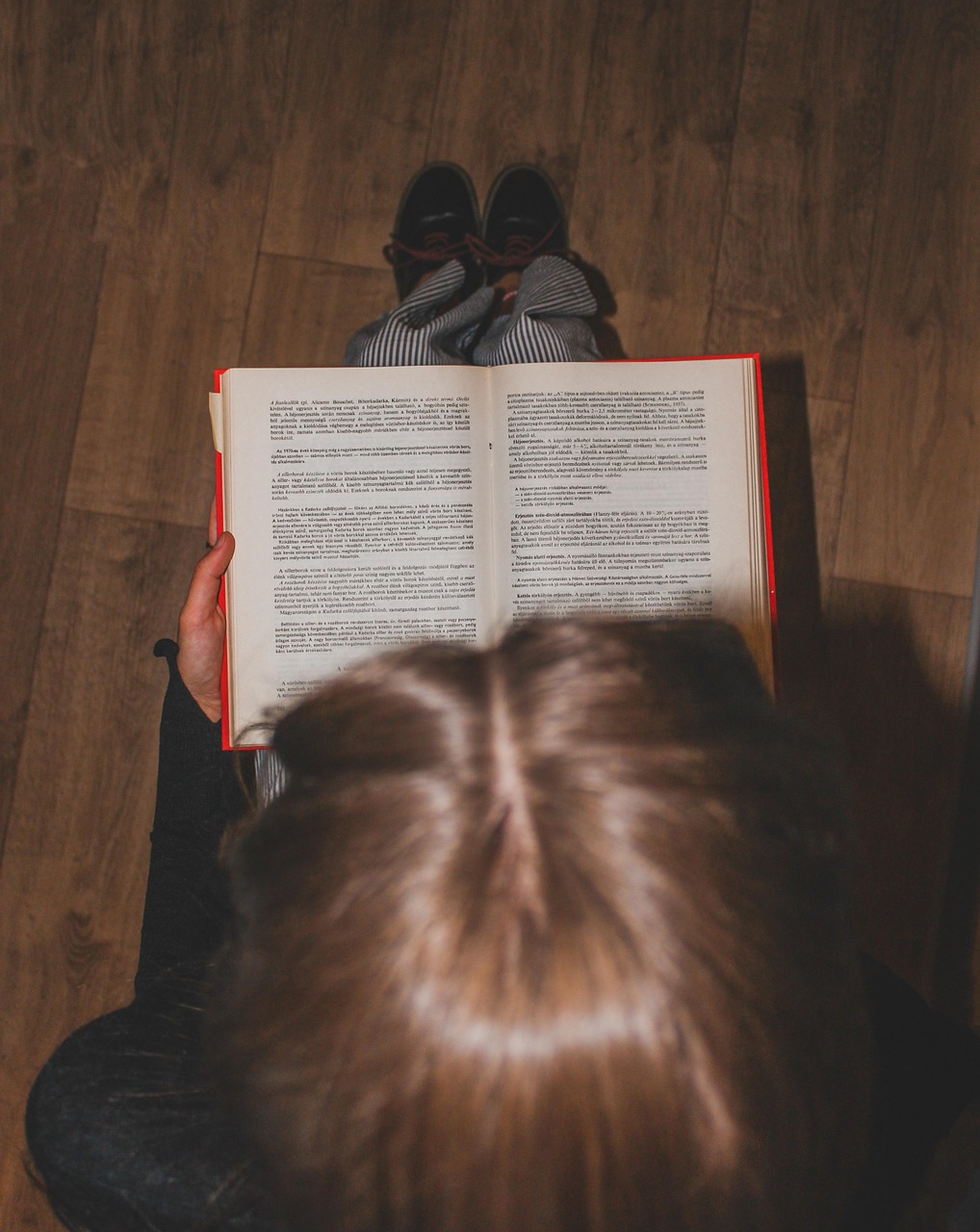 Features Of A Poem KS2