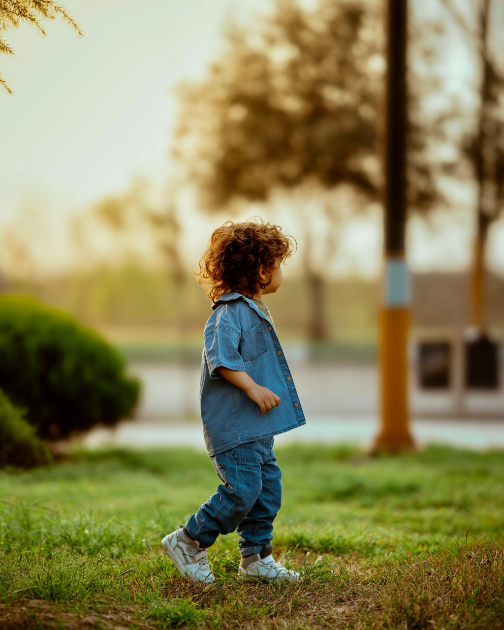 AQA A Level Sociology Specification: All You Need to Know